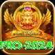 Winli Slots Pro 2024